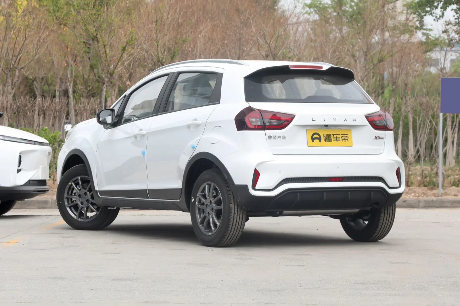 LIVAN X3 PRO Internationale Manual — 4